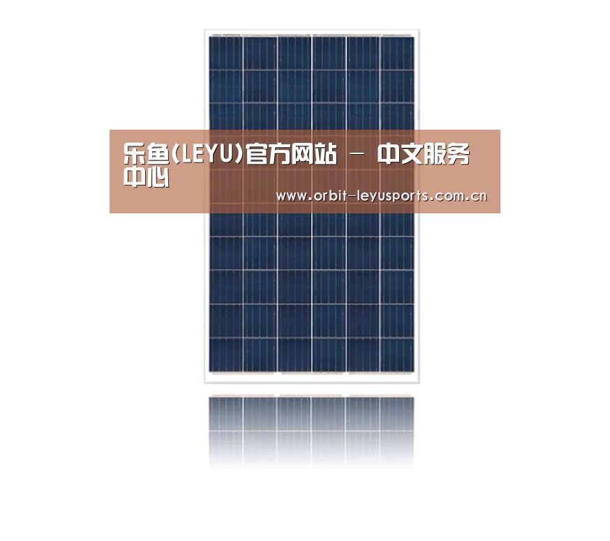 产品名称一