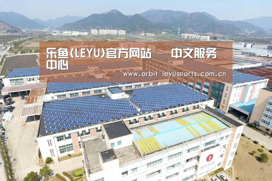 案例展示四