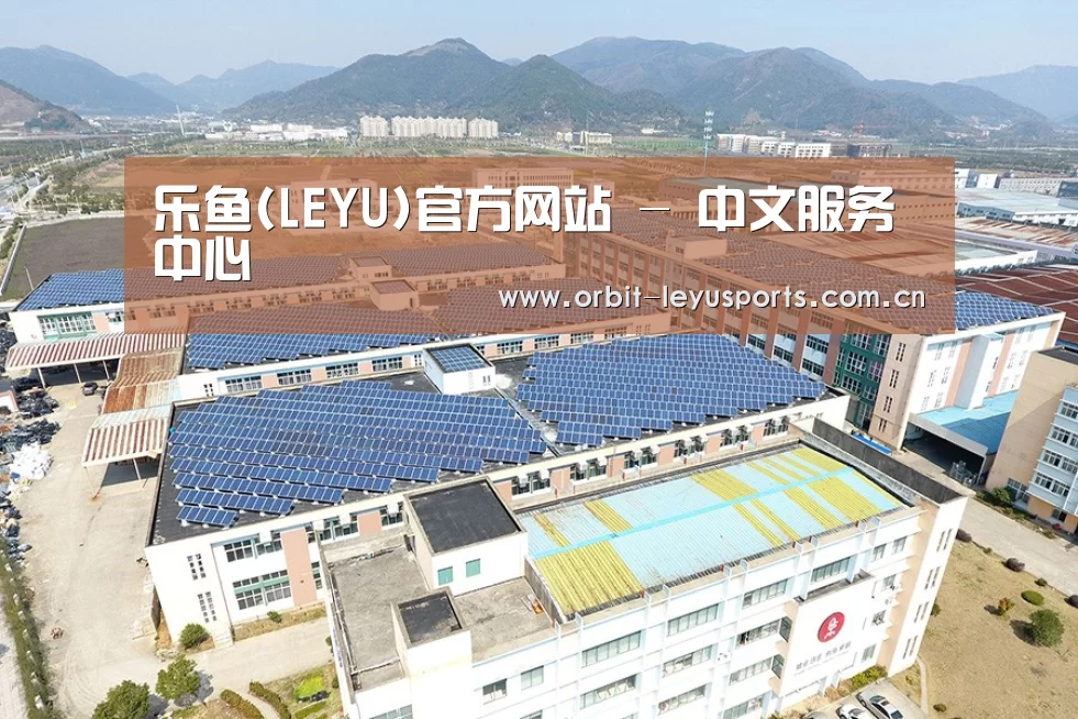 案例展示一