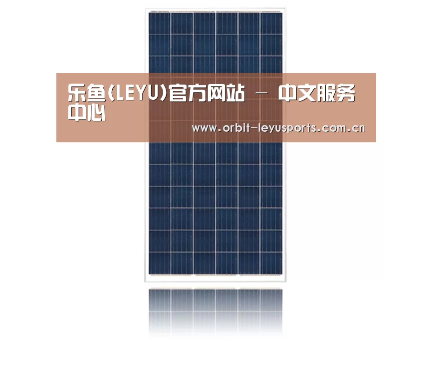 产品名称一