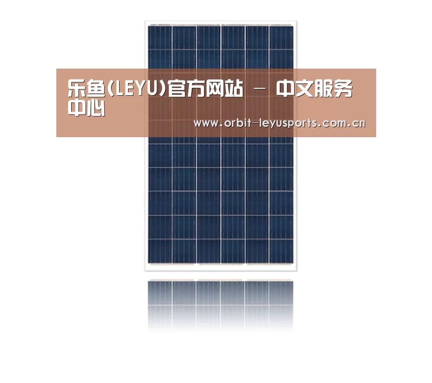 产品名称一