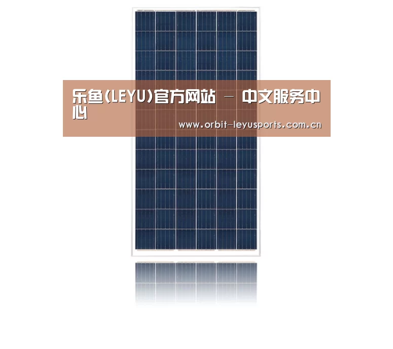 产品名称一