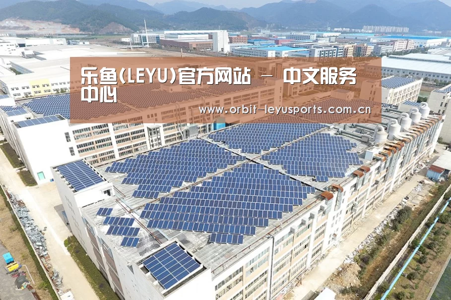 案例展示三