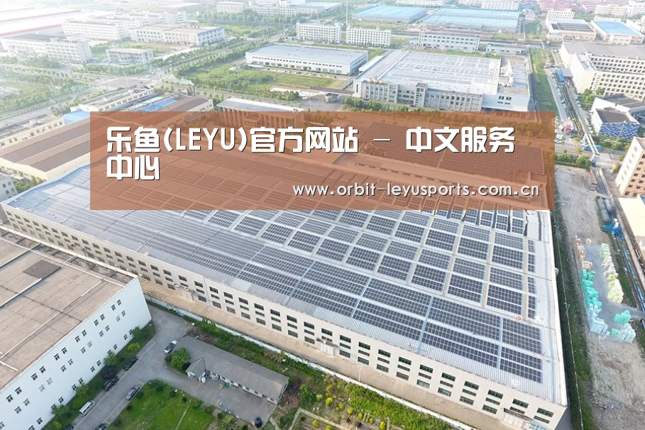 案例展示二