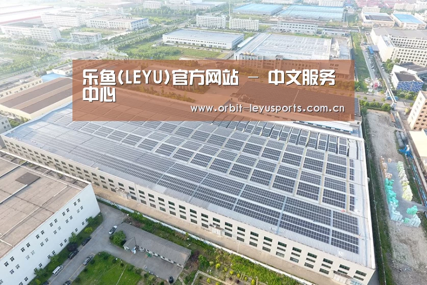 案例展示三