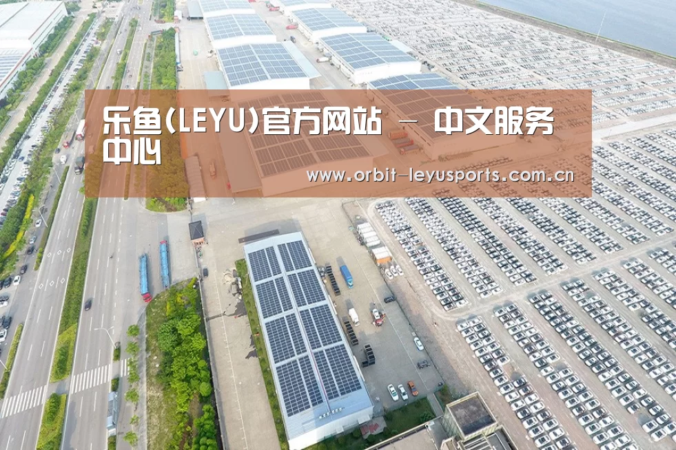 案例展示四