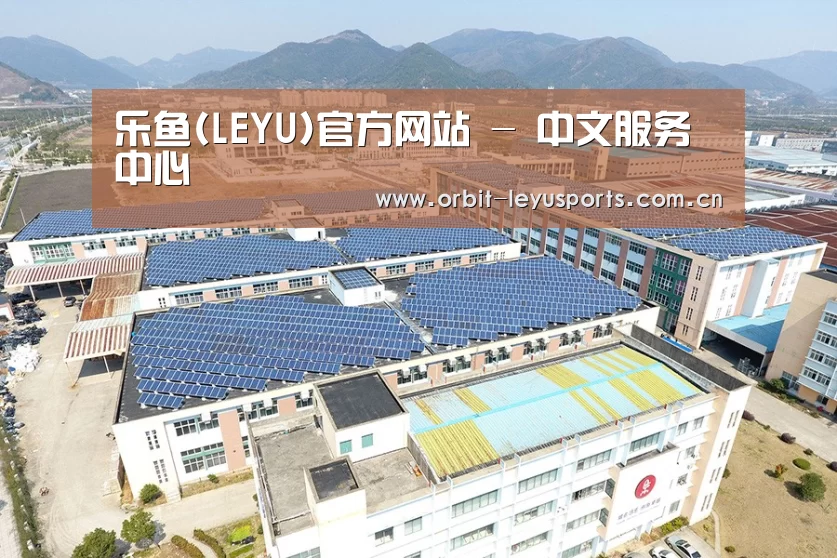 案例展示三