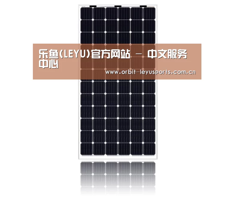 产品名称五
