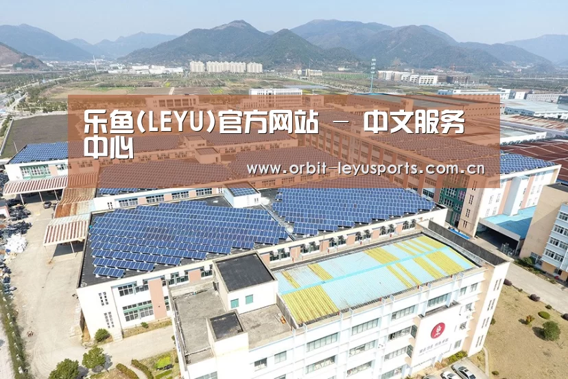 案例展示三