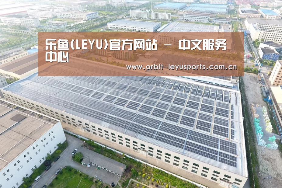 案例展示四