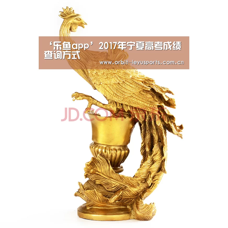 ‘乐鱼app’2017年宁夏高考成绩查询方式(图1) 乐鱼app
