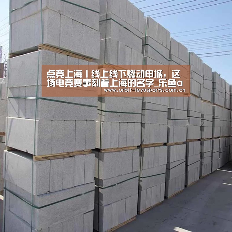 乐鱼电竞