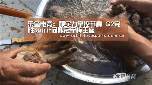 乐鱼电竞:硬实力掌控节奏 G2完胜Spirit问鼎冠军杯王座(图4) 乐鱼电竞