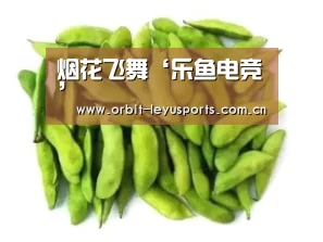 烟花飞舞‘乐鱼电竞’(图2) 乐鱼体育