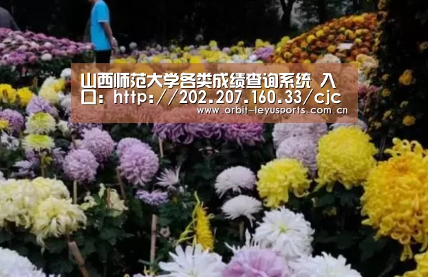 山西师范大学各类成绩查询系统 入口:http://202.207.160.33/cjcx/index.asp_乐鱼app(图3) 乐鱼体育