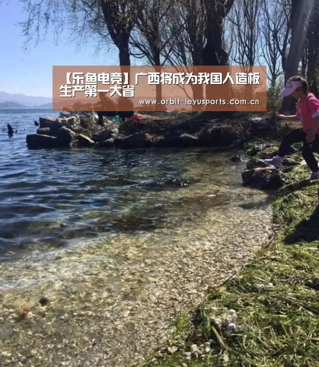 【乐鱼电竞】广西将成为我国人造板生产第一大省(图3) 乐鱼官网