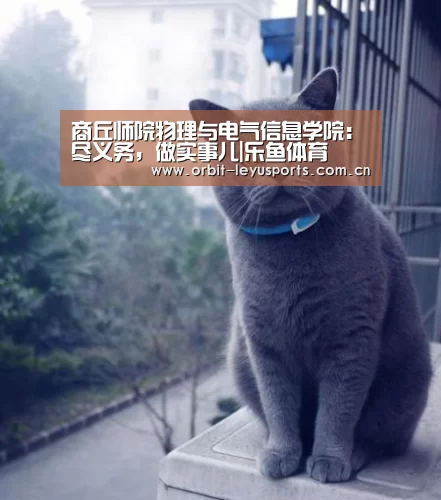 商丘师院物理与电气信息学院:尽义务,做实事儿|乐鱼体育(图2) 乐鱼官网