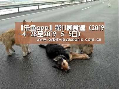 【乐鱼app】第11周食谱(2019-4-28至2019-5-5日)(图2) 乐鱼官网