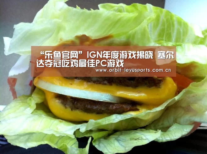 “乐鱼官网”IGN年度游戏揭晓 塞尔达夺冠吃鸡最佳PC游戏(图3) 乐鱼官网